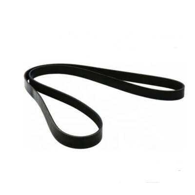 Serpentine Belt 185-1911