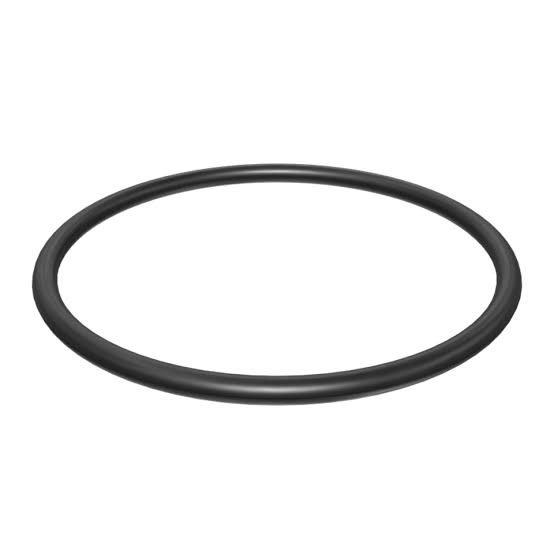 O-Ring Seal 109-0077